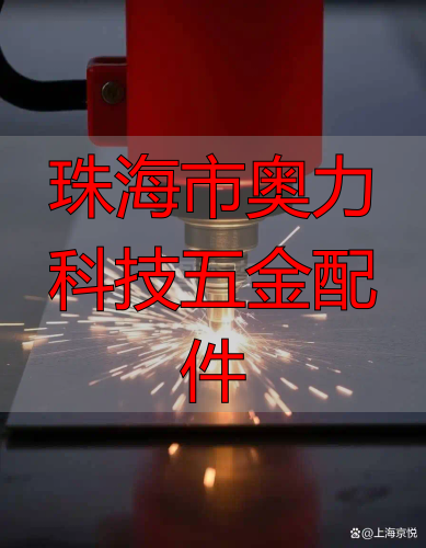 珠海市力奥科技公限有司金属冲压件